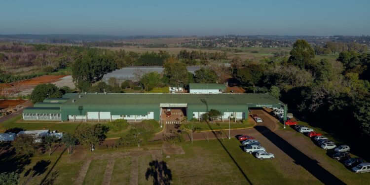 Biofábrica Misiones: 17 años desarrollando biotecnología para el agro misionero