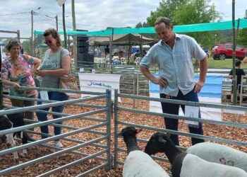 El Ministerio del Agro promueve la mejora genética en la ganadería menor