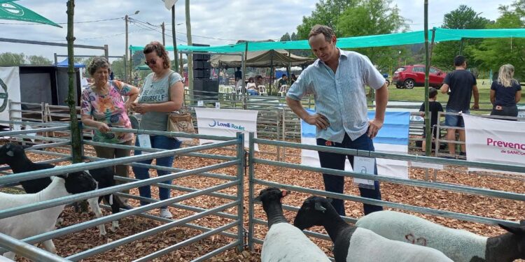 El Ministerio del Agro promueve la mejora genética en la ganadería menor