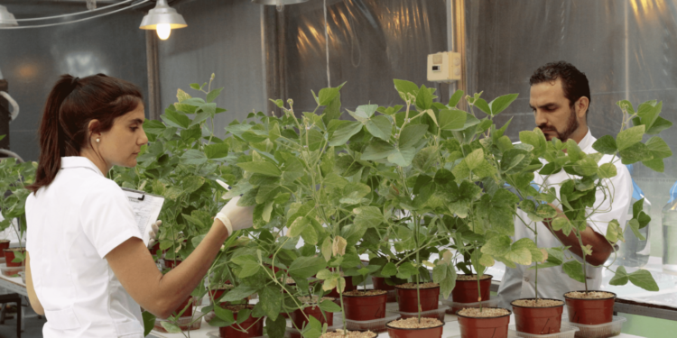 El auge de los productos biológicos, un mercado que crece 15% por año en Argentina