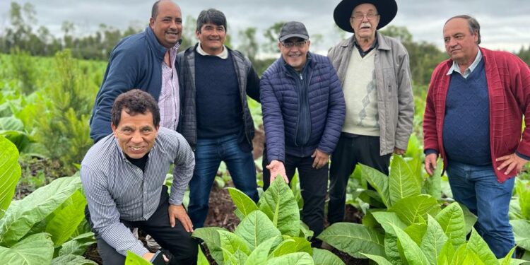 Renuncia del coordinador del Fondo Especial  del Tabaco