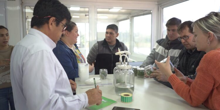 Egresados en diplomatura en biotecnología vegetal