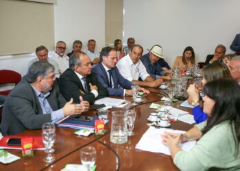 Yerbateros plantearon en el Congreso la necesidad de que el INYM recupere sus facultades