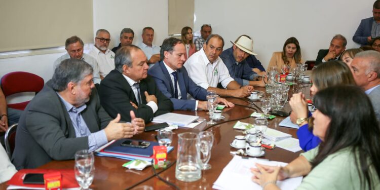 Yerbateros plantearon en el Congreso la necesidad de que el INYM recupere sus facultades