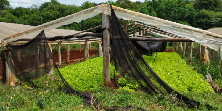 Emergencia agropecuaria, insistencia de la Provincia a la Nación