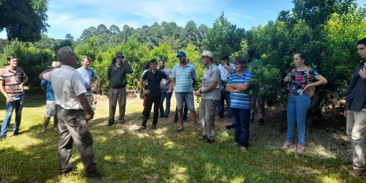 Trabajar la fertilidad de la chacra como un sistema integral – ambiental para lograr buenos rendimientos