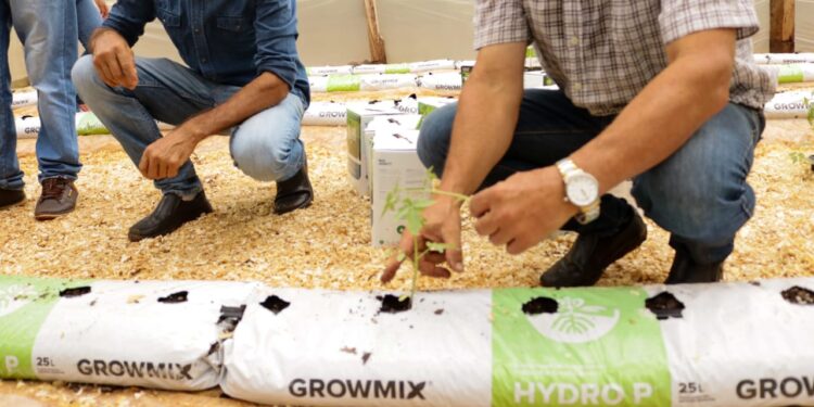 Inversiones en las chacras: Invernaderos para hortalizas y tomates