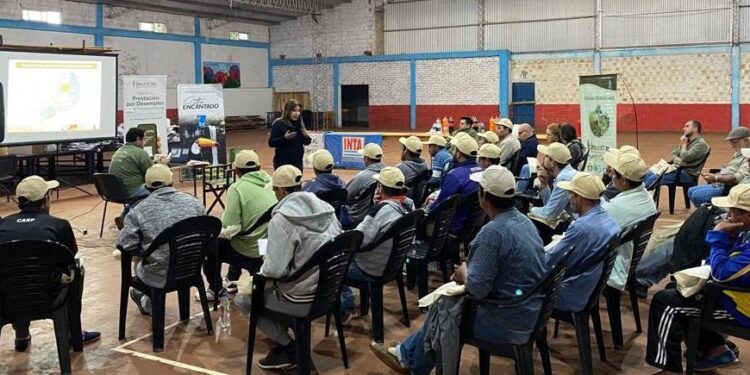 RENATRE: capacitaciones para trabajadores y empleadores en Misiones