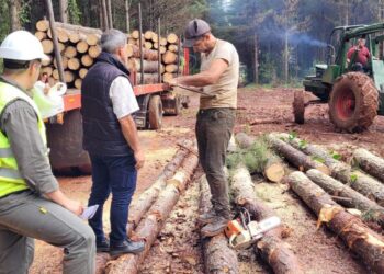 RENATRE Misiones: Un año con grandes logros