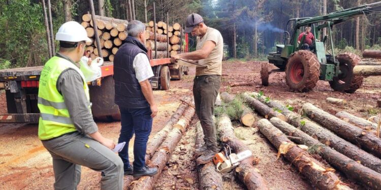 RENATRE Misiones: Un año con grandes logros