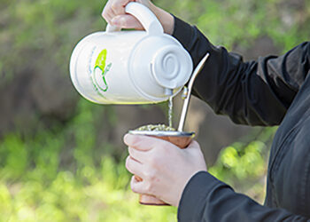 Récord histórico: la yerba mate confirmó su buen momento y el consumo superó los 325 millones de kilos en 2023