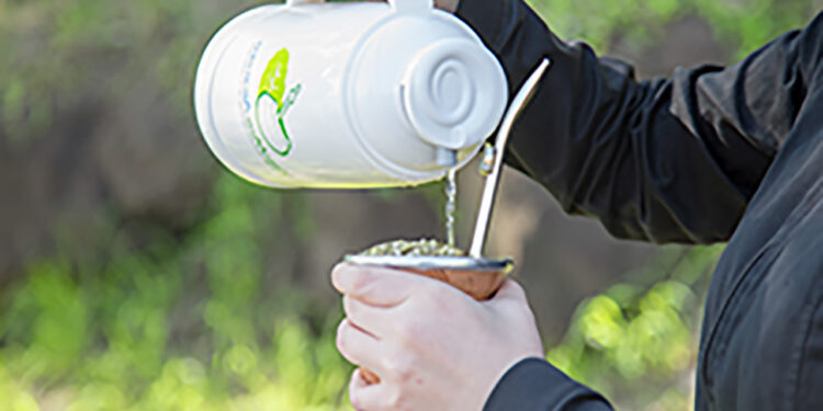 Récord histórico: la yerba mate confirmó su buen momento y el consumo superó los 325 millones de kilos en 2023