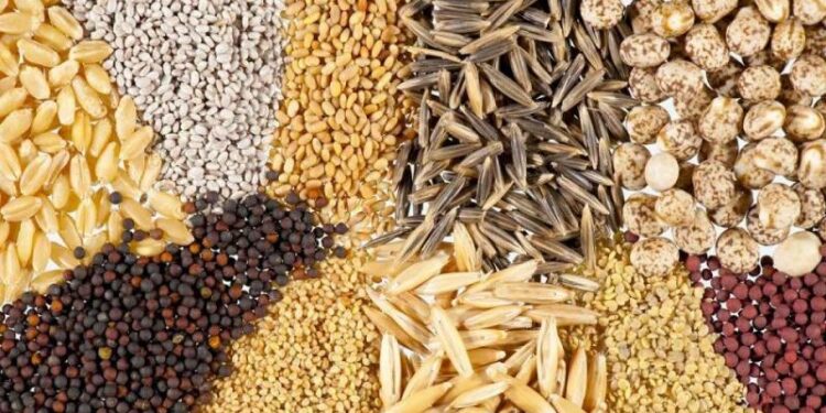 Argentina consolida su posición como referente en la producción de semillas de calidad