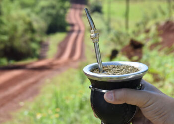 En enero, el consumo interno y las exportaciones de yerba mate superaron las ventas de igual mes del año pasado