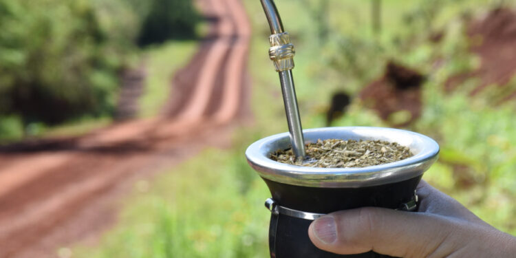 En enero, el consumo interno y las exportaciones de yerba mate superaron las ventas de igual mes del año pasado