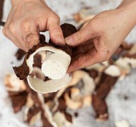 A “pelar” Mandioca: 1° concurso