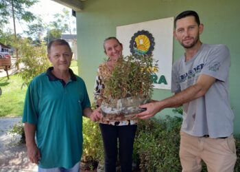 Apoyo al programa Leña renovable: entregan Plantines de eucalipto