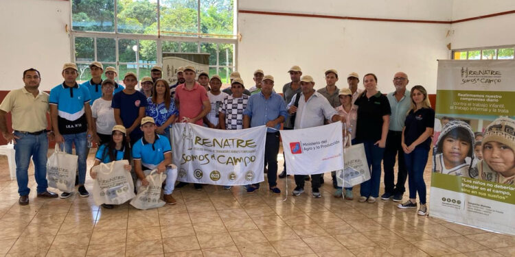 Se realizaron capacitaciones para trabajadores rurales del sector tealero en Misiones