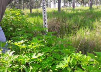 La capacitación técnica en la agenda de la Fiesta del Ternero Misionero