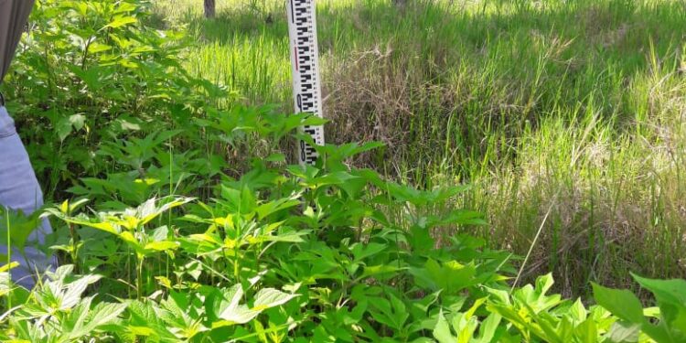 La capacitación técnica en la agenda de la Fiesta del Ternero Misionero