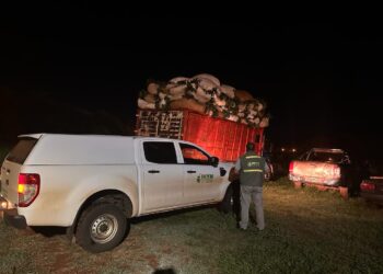 Tras operativos del INYM, detuvieron a individuos que exhibieron remitos de hoja verde falsificados