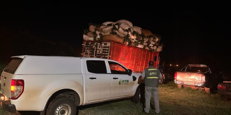 Tras operativos del INYM, detuvieron a individuos que exhibieron remitos de hoja verde falsificados