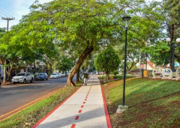 Ecología Urbana, este año con certificado de Auxiliar en Producción Hortícola Orgánica