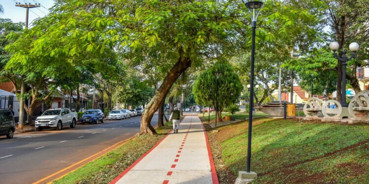 Ecología Urbana, este año con certificado de Auxiliar en Producción Hortícola Orgánica