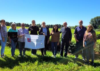 Misiones  potencia el desarrollo del té gourmet