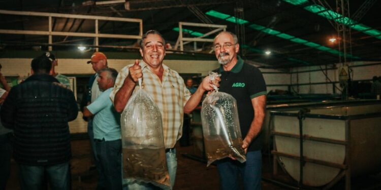 Entrega de alevines al sector piscícola