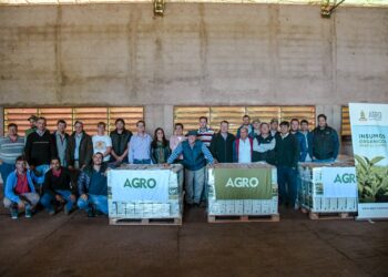 Bioinsumos en la producción de tabaco