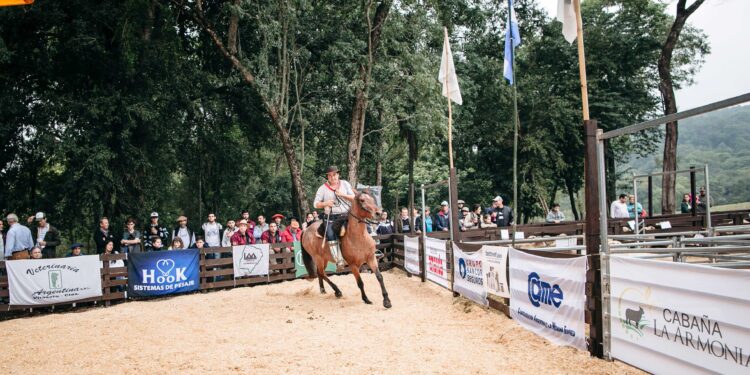 11 de Mayo: Remate de ganadería menor en San José