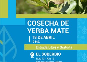 Sumate a la Jornada de Capacitación en Cosecha de Yerba Mate en El Soberbio