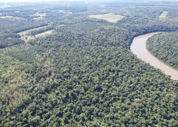 Día internacional de la madre tierra