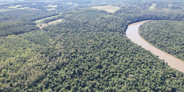 Día internacional de la madre tierra