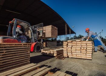 El 18 de abril, jornada de difusión sobre la exportación de productos forestales a la Unión Europea