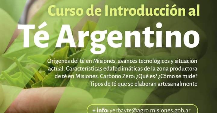 El Ministerio del Agro invita a conocer la experiencia del té