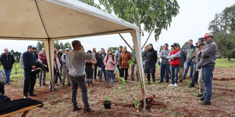 Argentina abre nuevos mercados: exportará a Uruguay carne de cerdo