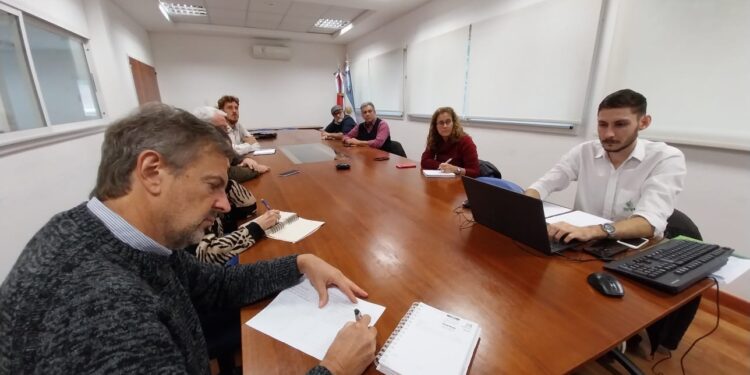 Marco legal nacional e internacional, tema de reunión por resguardo genético de la yerba mate