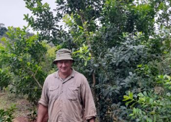 Con prácticas recomendadas por el INYM, resultados alentadores en el yerbal de Tech