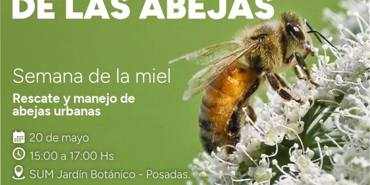 Semana de la miel: del 20 al 14 de Mayo  