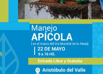 Día Mundial de la Abeja con una jornada de capacitación