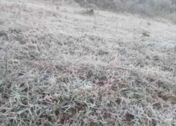 Las heladas se podrían anticipar y el invierno sería más frío
