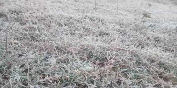 Las heladas se podrían anticipar y el invierno sería más frío