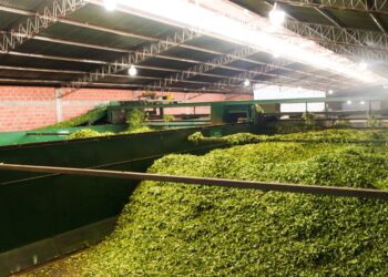 Impulsan la adopción de buenas prácticas ambientales y energéticas en el sector industrial