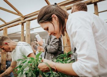 Manejo sustentable: capacitan a productores misioneros