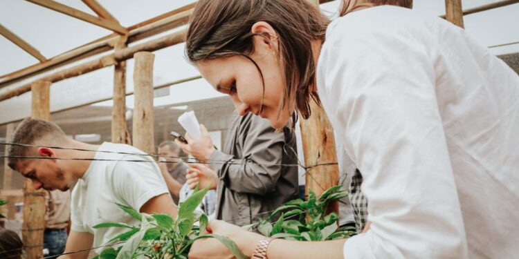 Manejo sustentable: capacitan a productores misioneros