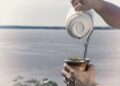 Yerba Mate: Crecen exportaciones, caen la ventas y récord de cosecha