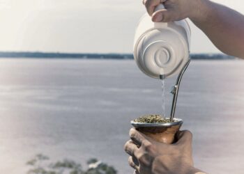 Yerba Mate: Crecen exportaciones, caen la ventas y récord de cosecha