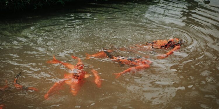 Capacitación “Sustratos para producción de plantas”